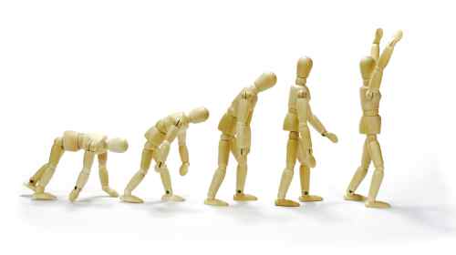 Emocjonalna ewolucja